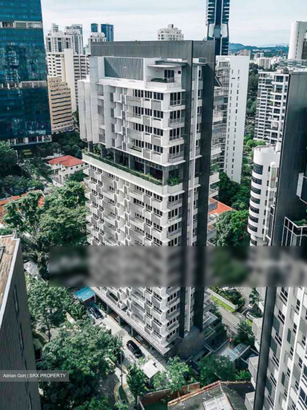 The Peak @ Cairnhill II (D9), Apartment #308100021